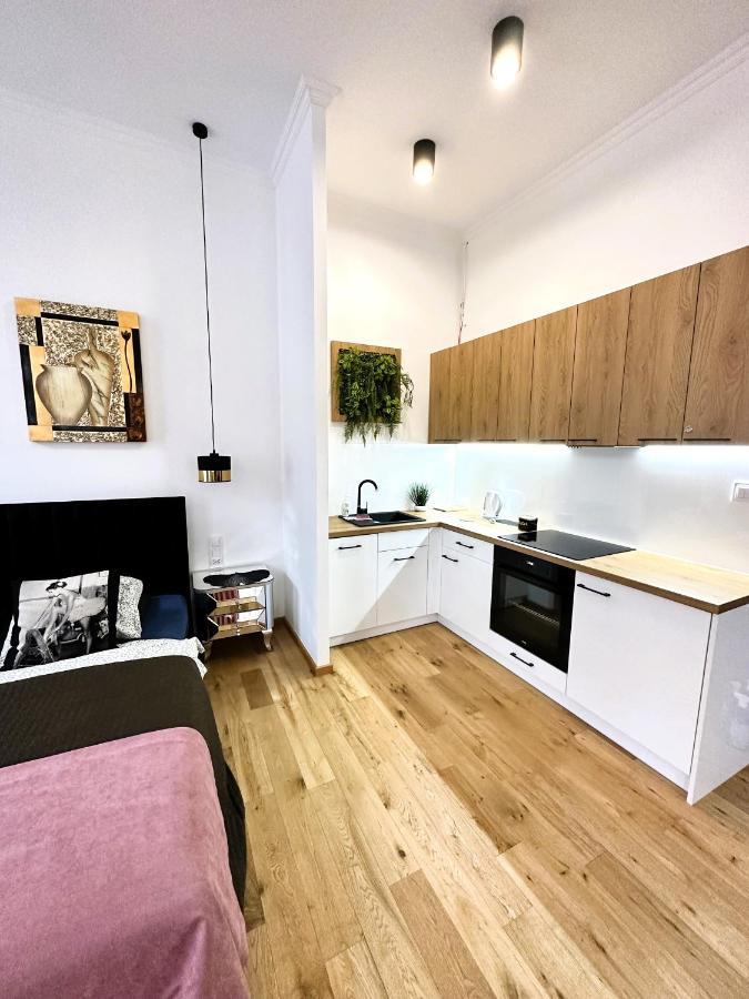 Apartamenty Dream Place Z Klimatyzacja Torun Exterior photo